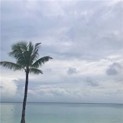 江湖杀之修仙传说手游下载
